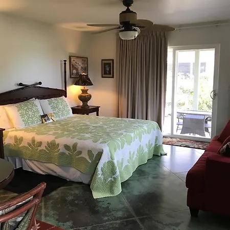 Hale Pua Villa - Seaside Studio Koloa Extérieur photo